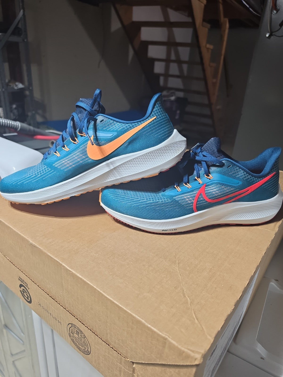 Size 13 - Nike Air Zoom Pegasus 39 Spruce Crimson