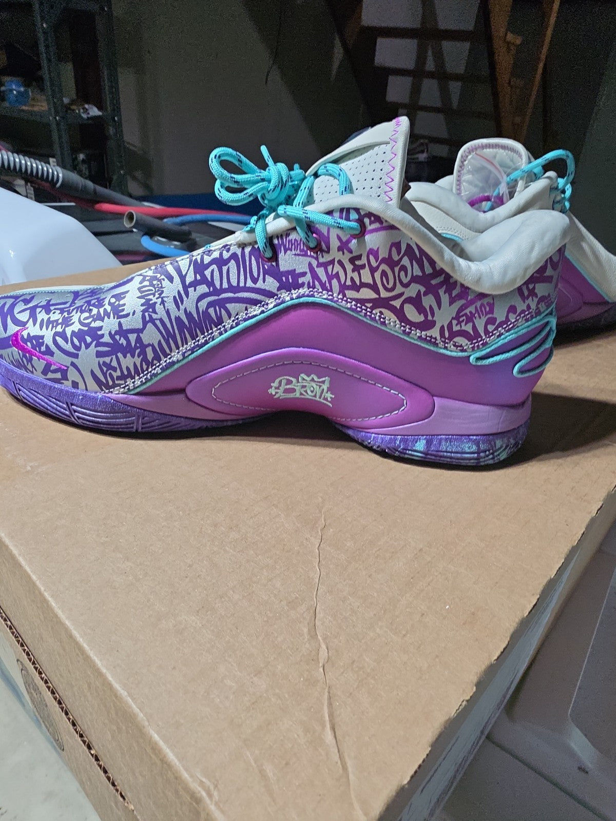 Size 13 - Nike Men's LeBron 22 Frozen Grapes