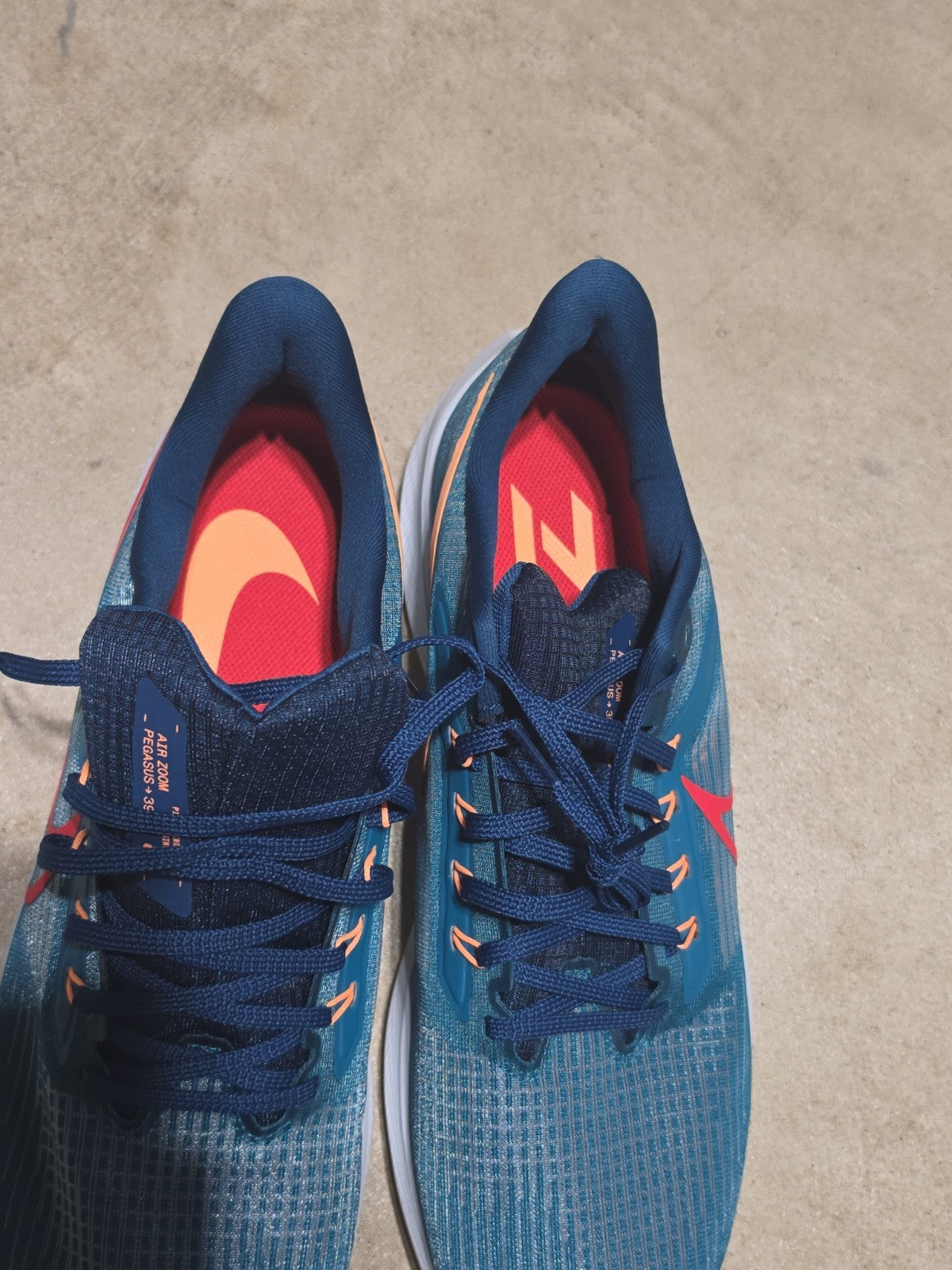 Size 13 - Nike Air Zoom Pegasus 39 Spruce Crimson