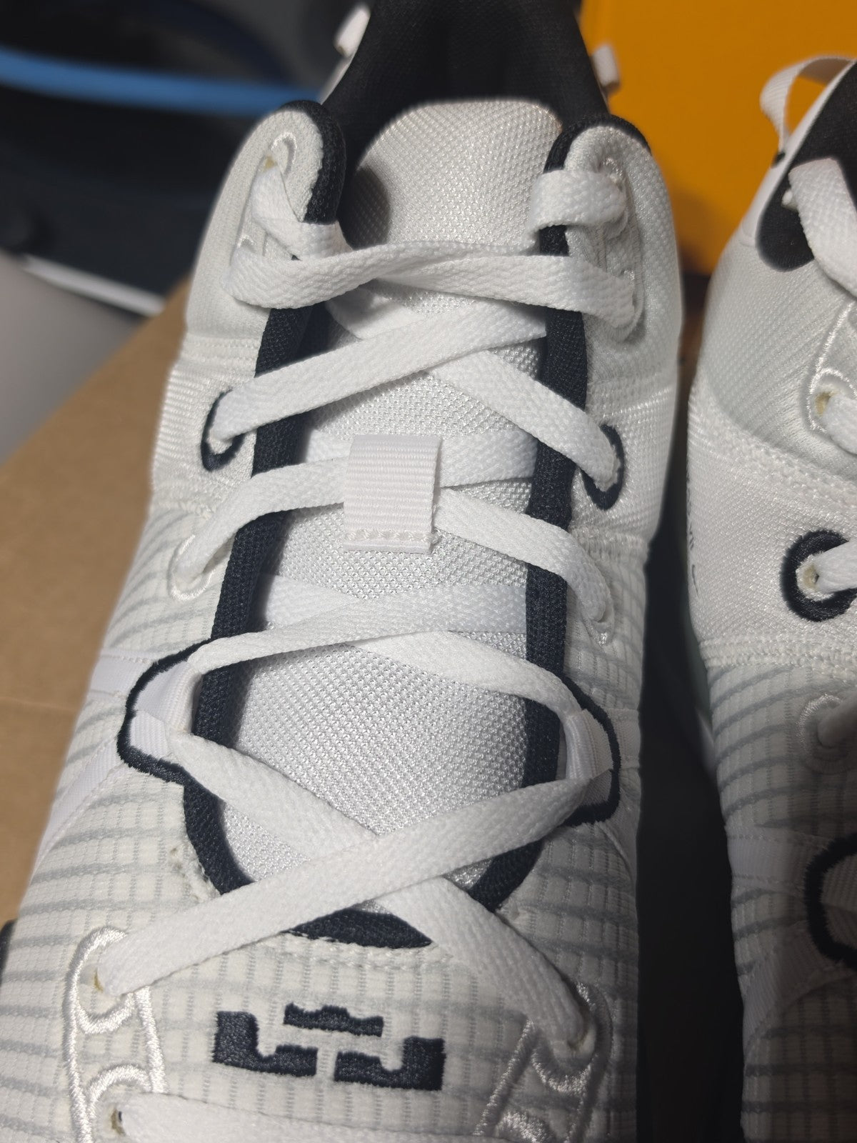 Size 13 - Nike LeBron Witness 7 TB White Black